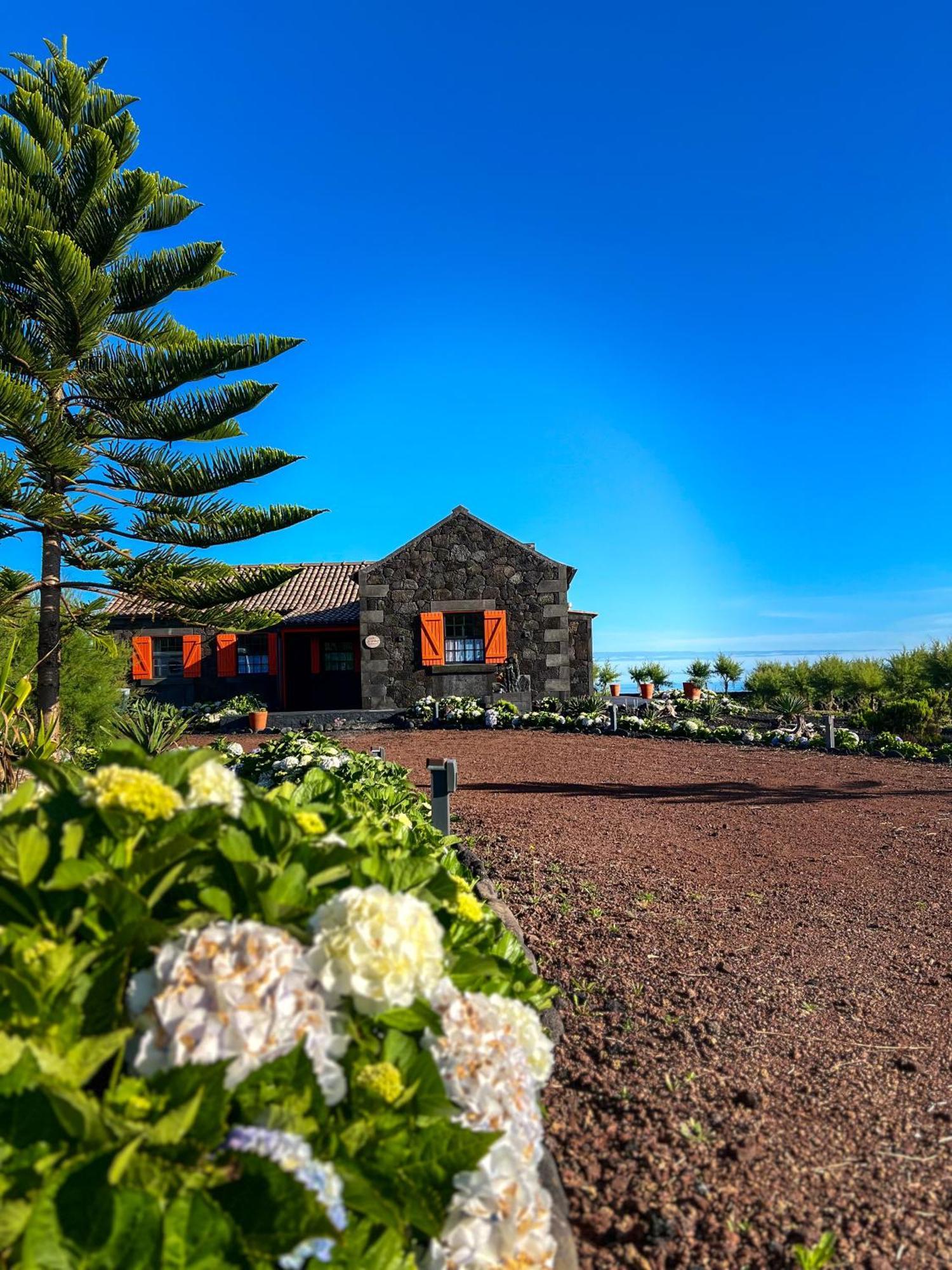 Villa Casa Baleia Laranja Ocean-Front Madalena  Exterior foto